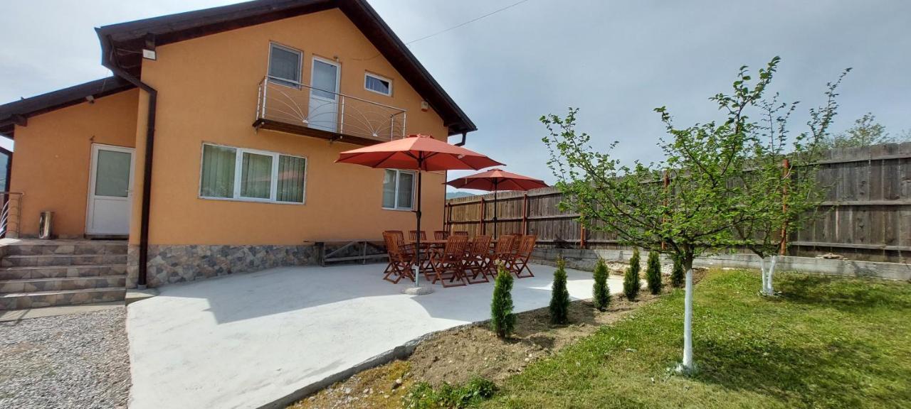 Casa De Vacanta Laurentiu Călimăneşti 外观 照片