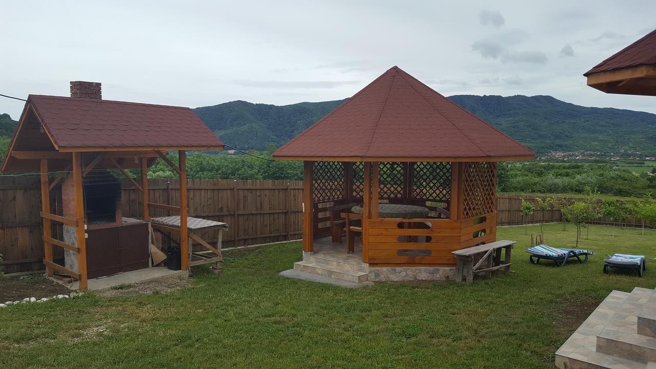 Casa De Vacanta Laurentiu Călimăneşti 外观 照片