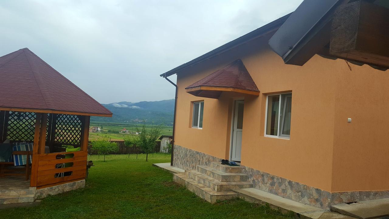Casa De Vacanta Laurentiu Călimăneşti 外观 照片