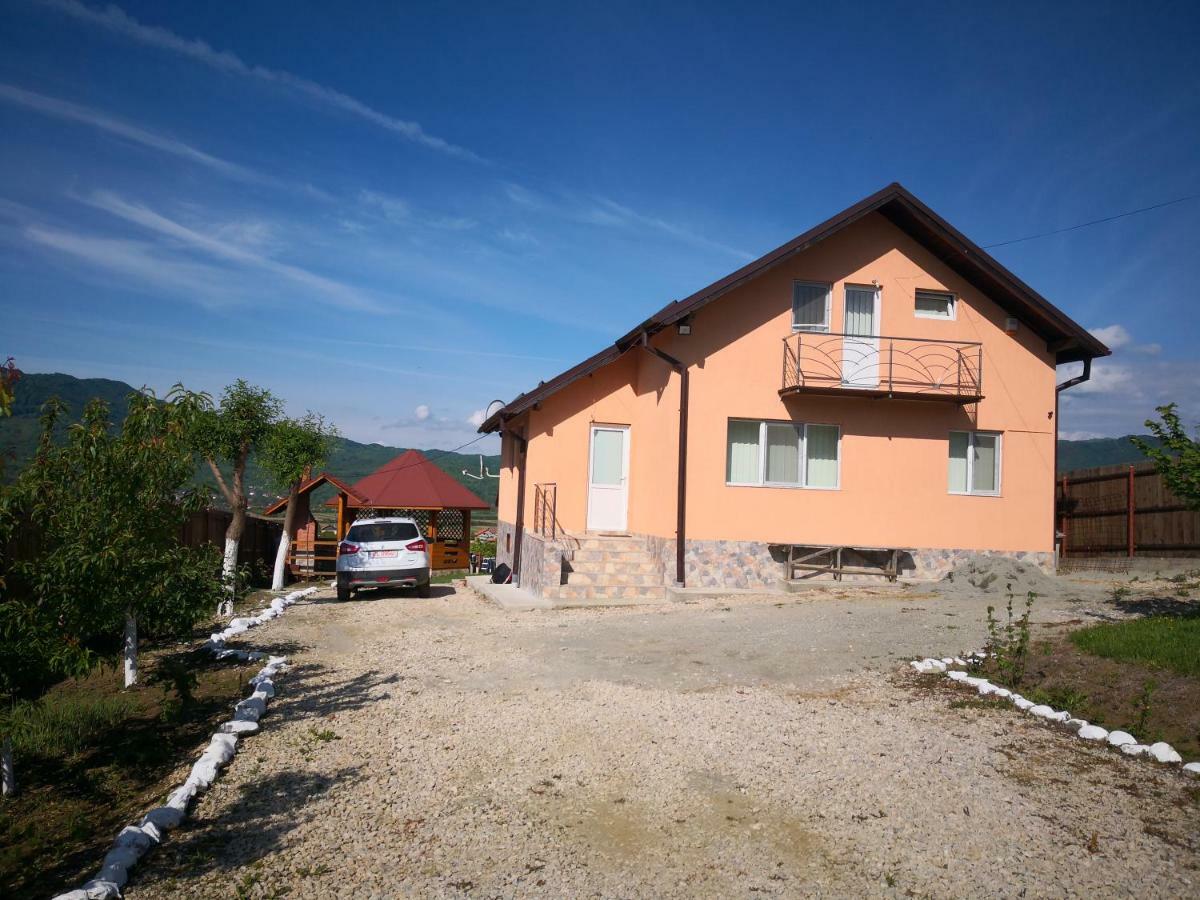 Casa De Vacanta Laurentiu Călimăneşti 外观 照片