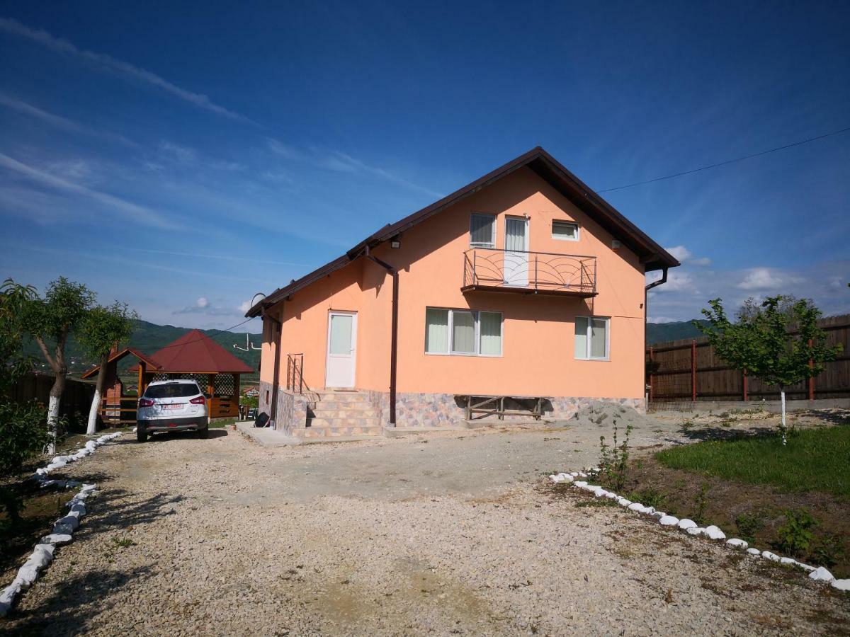 Casa De Vacanta Laurentiu Călimăneşti 外观 照片